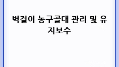 집에서 농구! 벽걸이 농구골대 설치 가이드
